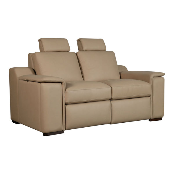 Armon Loveseat with Power Footrest ZG & WS - 6006FN-21P