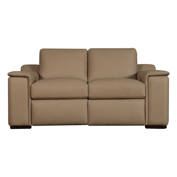 Armon Loveseat with Power Footrest ZG & WS - 6006FN-21P