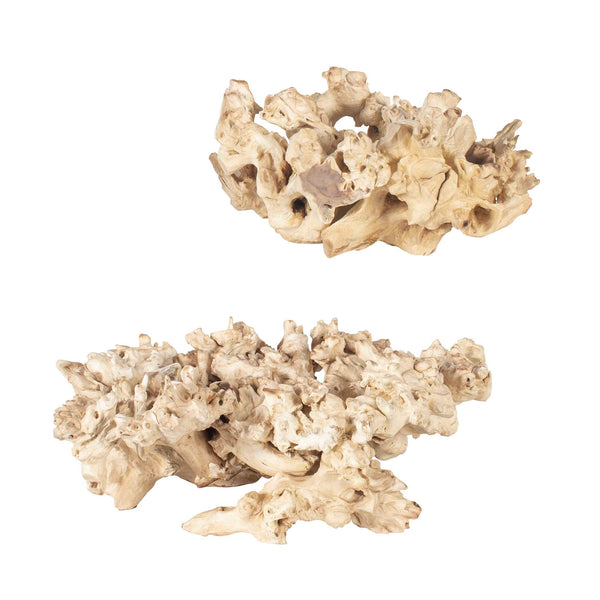 Uttermost Elemental Root Outdoor Sculptures Set/2
