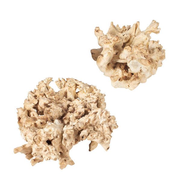 Uttermost Elemental Root Outdoor Sculptures Set/2