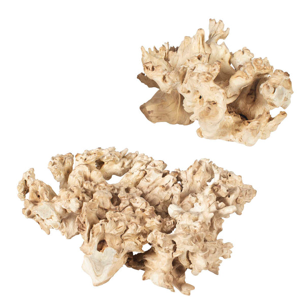 Uttermost Elemental Root Outdoor Sculptures Set/2