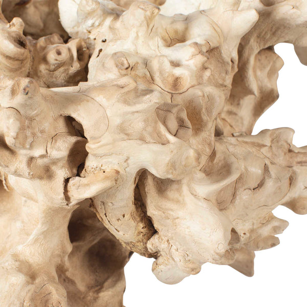 Uttermost Elemental Root Outdoor Sculptures Set/2