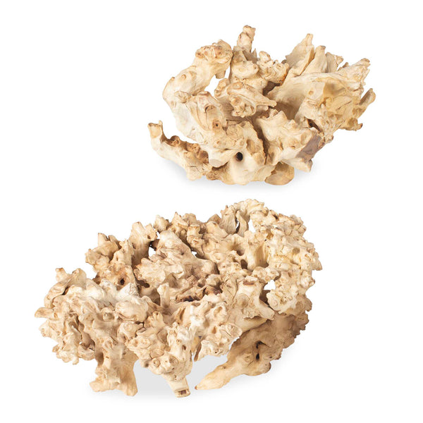 Uttermost Elemental Root Outdoor Sculptures Set/2