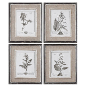 Uttermost Casual Grey Study Framed Art Set/4