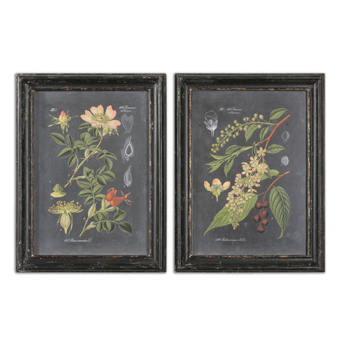 Uttermost Midnight Botanicals Wall Art S/2