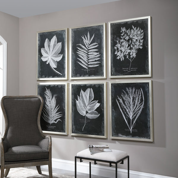 Uttermost Foliage Framed Prints, S/6