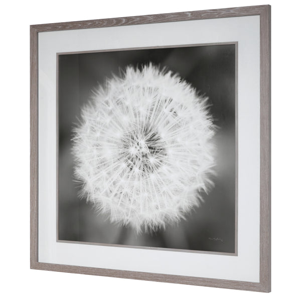 Uttermost Dandelion Seedhead Framed Print