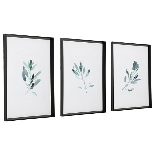 Uttermost Simple Sage Watercolor Prints, S/3