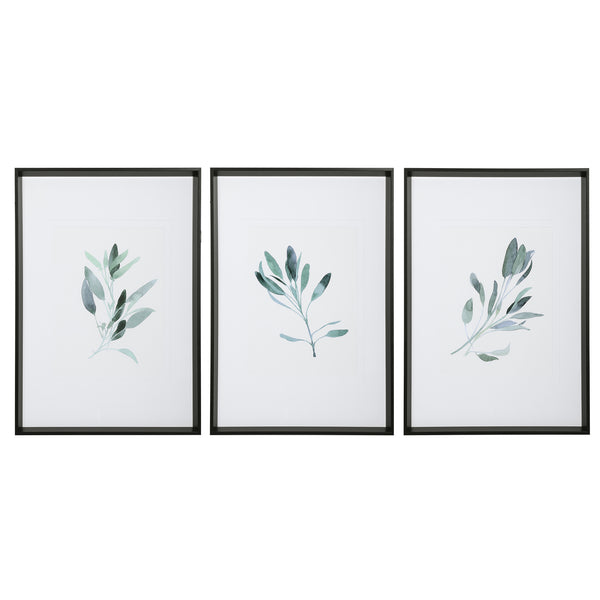 Uttermost Simple Sage Watercolor Prints, S/3