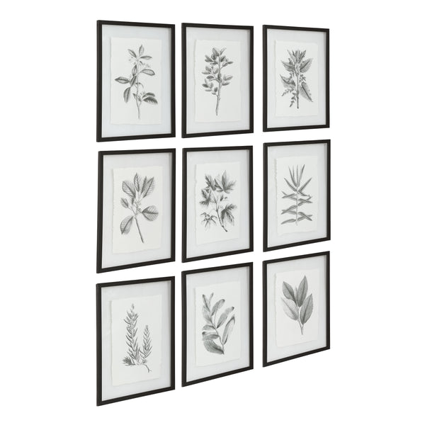 Uttermost Farmhouse Florals Framed Prints, S/9