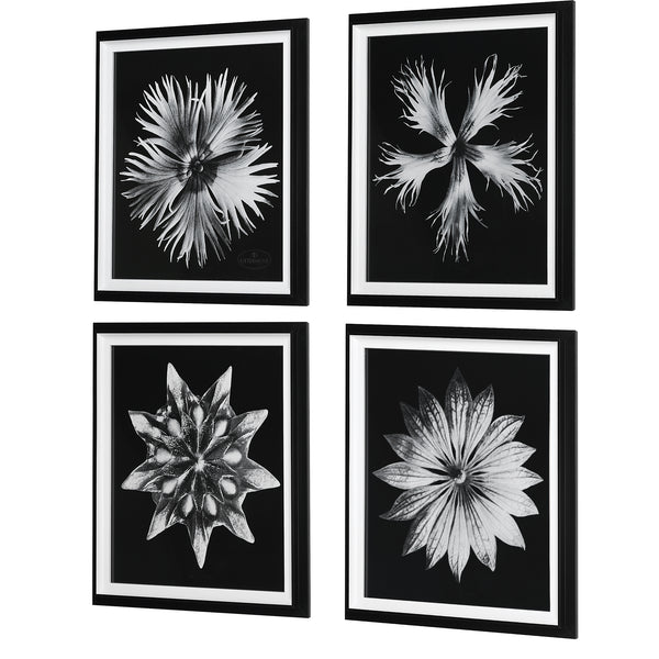 Uttermost Contemporary Floret Framed Prints, S/4