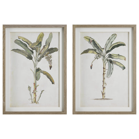 Uttermost Banana Palm Framed Prints, Set/2