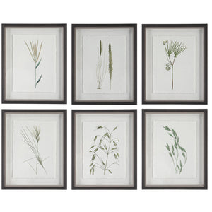 Uttermost Forest Finds Framed Prints, S/6