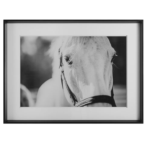 Uttermost Eyes On The Prize Framed Print