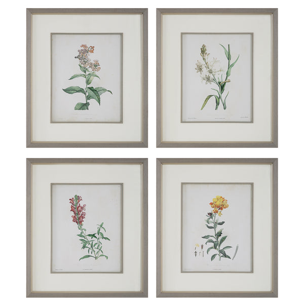 Uttermost Heirloom Blooms Study Framed Prints Set/4