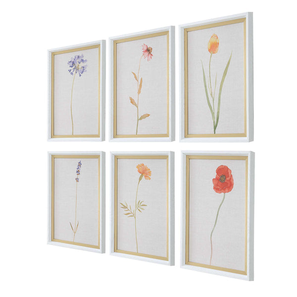 Uttermost Wild Flourish Framed Floral Prints Set/6