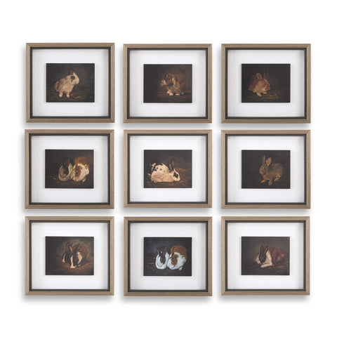 Uttermost Resting Bunny Framed Prints Set/9