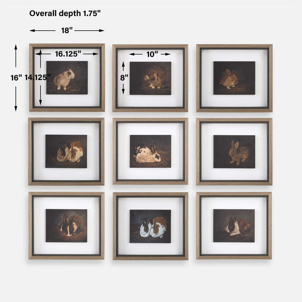 Uttermost Resting Bunny Framed Prints Set/9