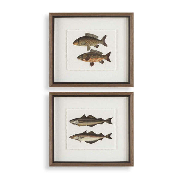 Uttermost The Catch Framed Fish Prints Set/2