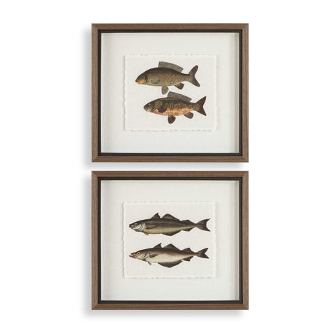 Uttermost The Catch Framed Fish Prints Set/2