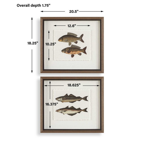Uttermost The Catch Framed Fish Prints Set/2