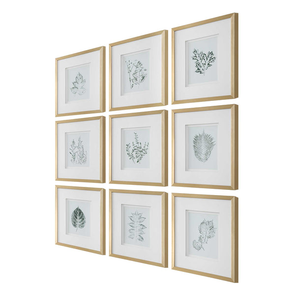 Uttermost Nature's Script Framed Botanical Prints Set/9