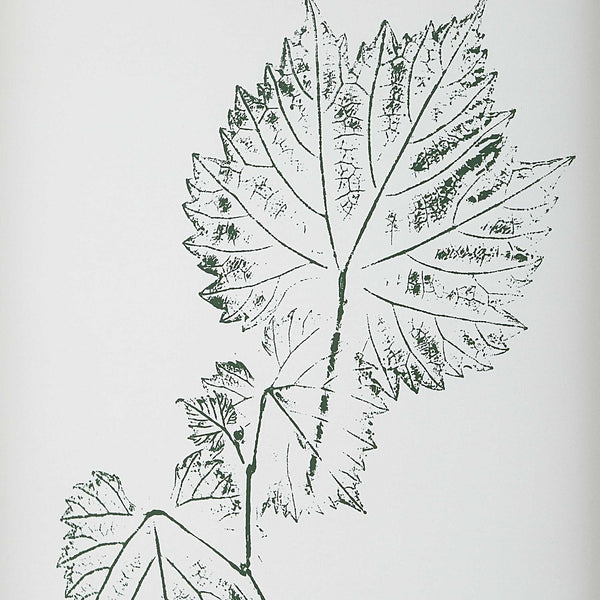 Uttermost Nature's Script Framed Botanical Prints Set/9