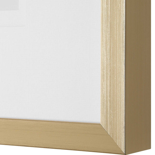 Uttermost Nature's Script Framed Botanical Prints Set/9