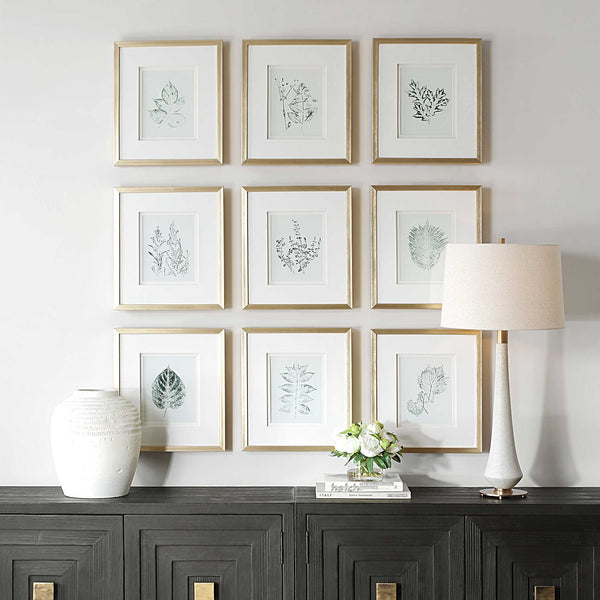 Uttermost Nature's Script Framed Botanical Prints Set/9