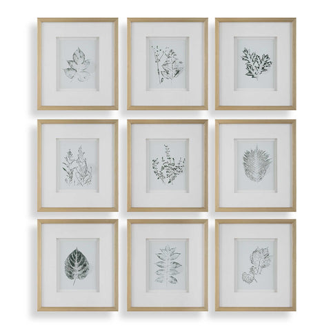 Uttermost Nature's Script Framed Botanical Prints Set/9