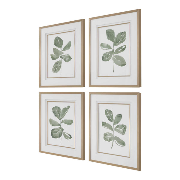 Uttermost Fiddle Head Leaf Botanical Prints Set/4