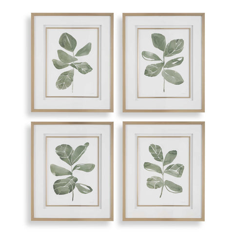 Uttermost Fiddle Head Leaf Botanical Prints Set/4