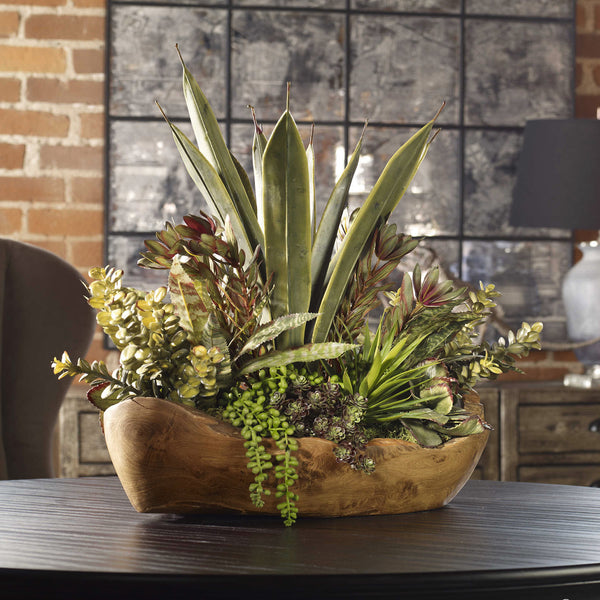 Uttermost Salar Succulents In Teak Bowl