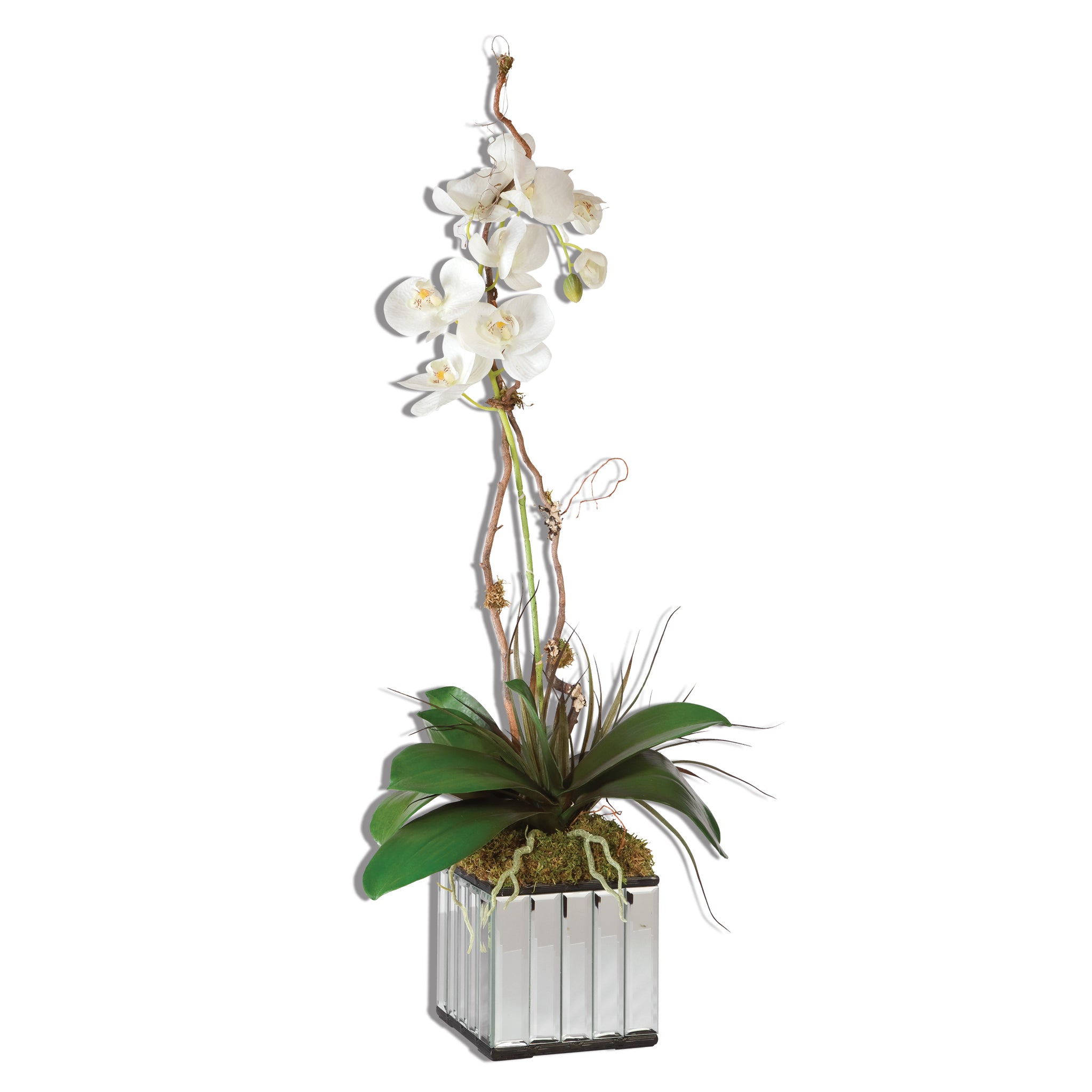 Uttermost White Kaleama Orchids