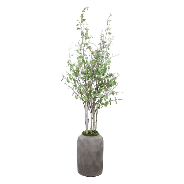 Uttermost Aldis Potted River Birch