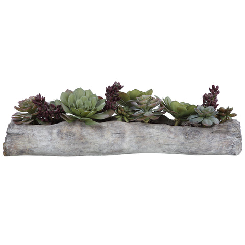 Uttermost Charita Lush Succulents