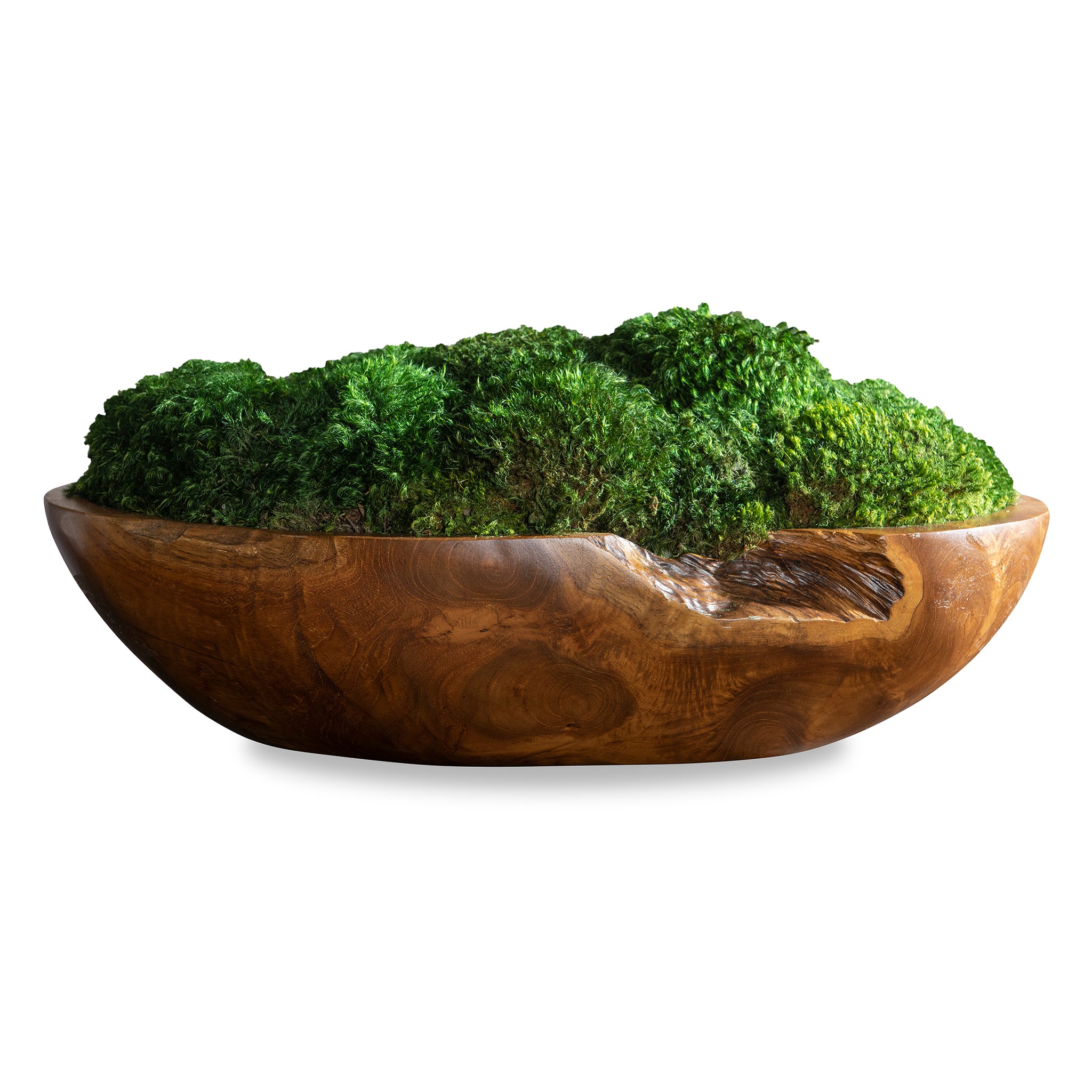 Uttermost Kinsale Moss Centerpiece