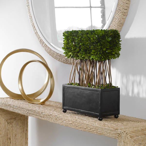 Uttermost Preserved Boxwood Rectangular Topiary