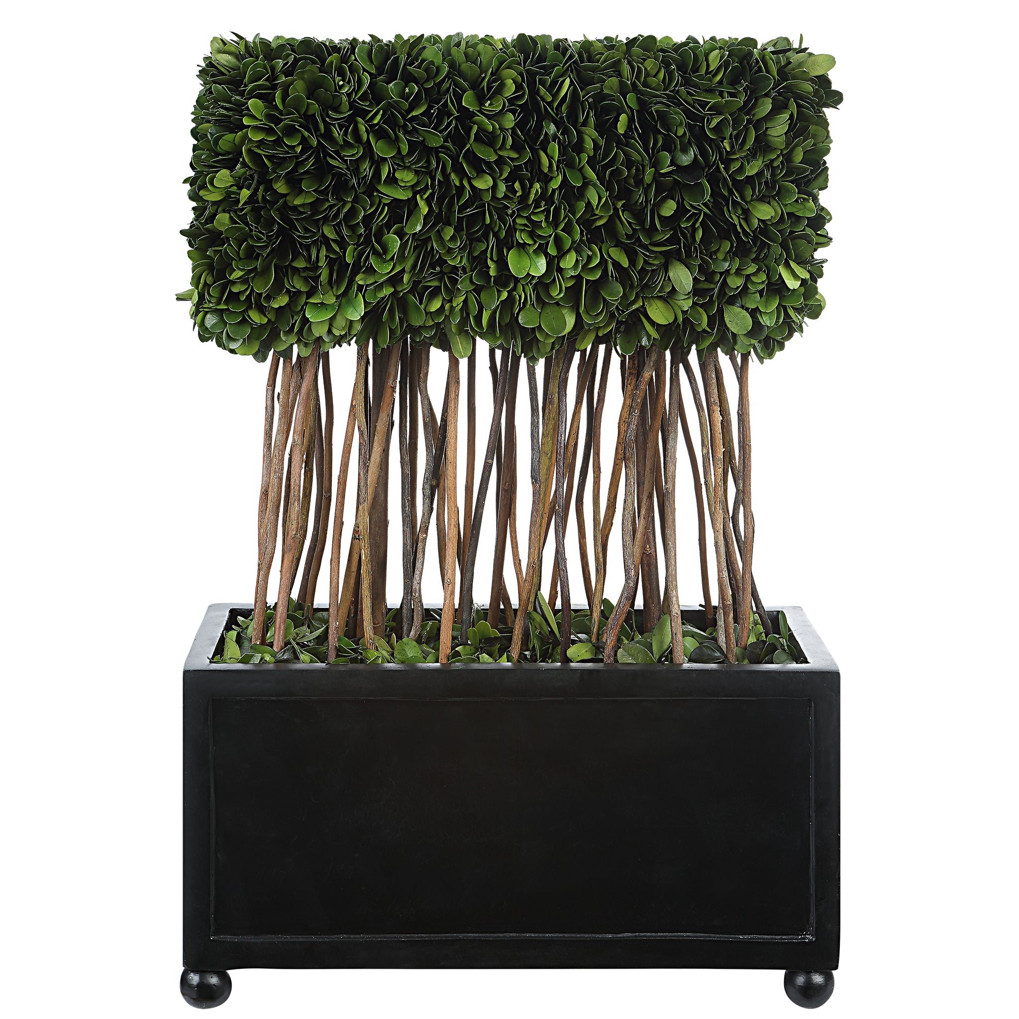 Uttermost Preserved Boxwood Rectangular Topiary