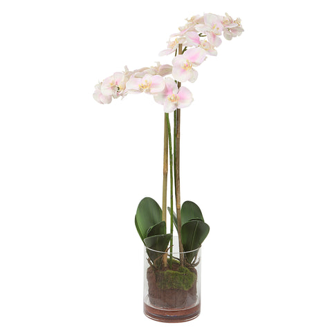 Uttermost Blush Pink And White Orchid