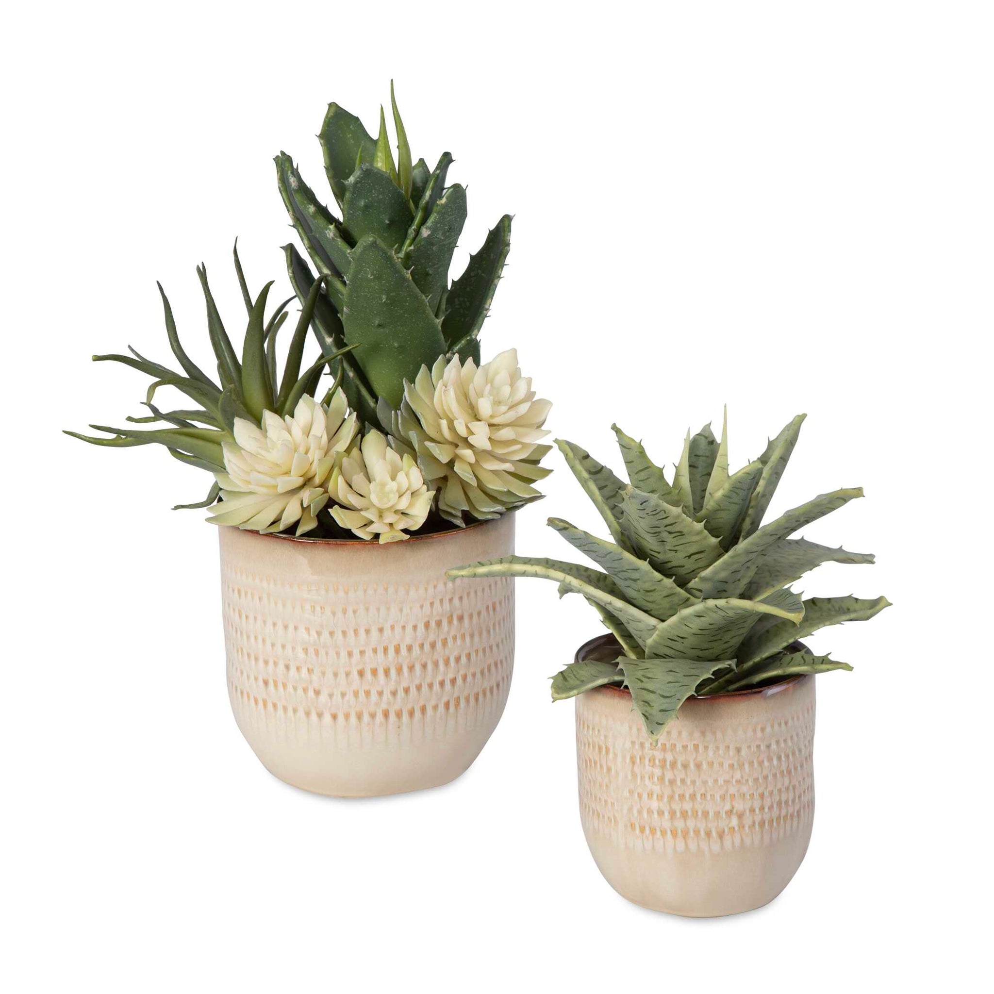 Uttermost Seaside Succulents Set/2