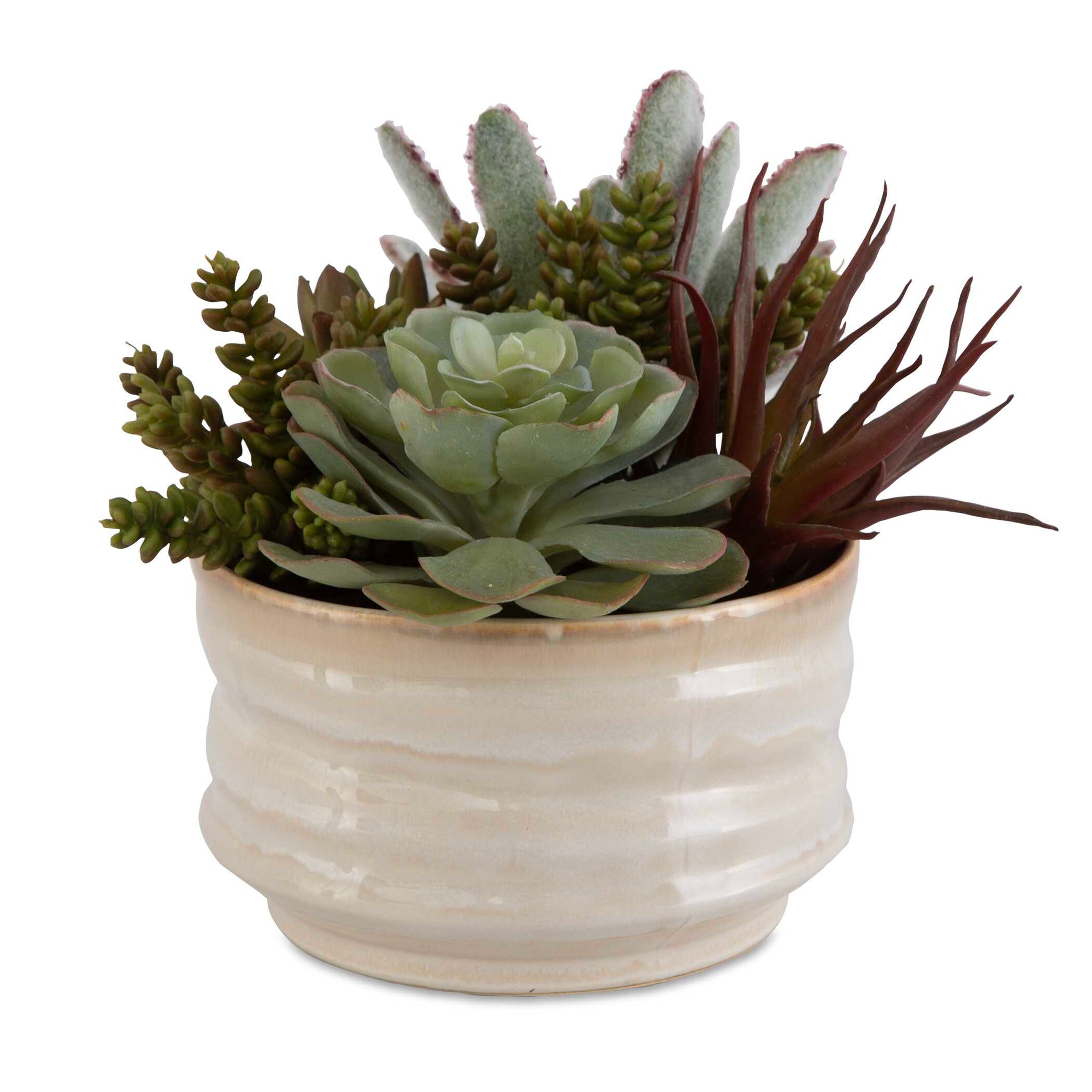 Uttermost Mesa Succulent Accent