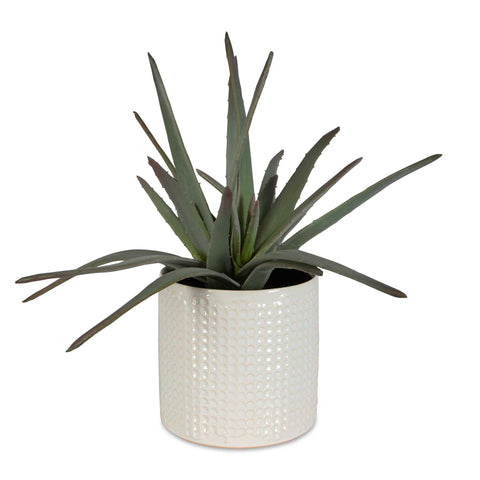 Uttermost Taos Aloe Centerpiece