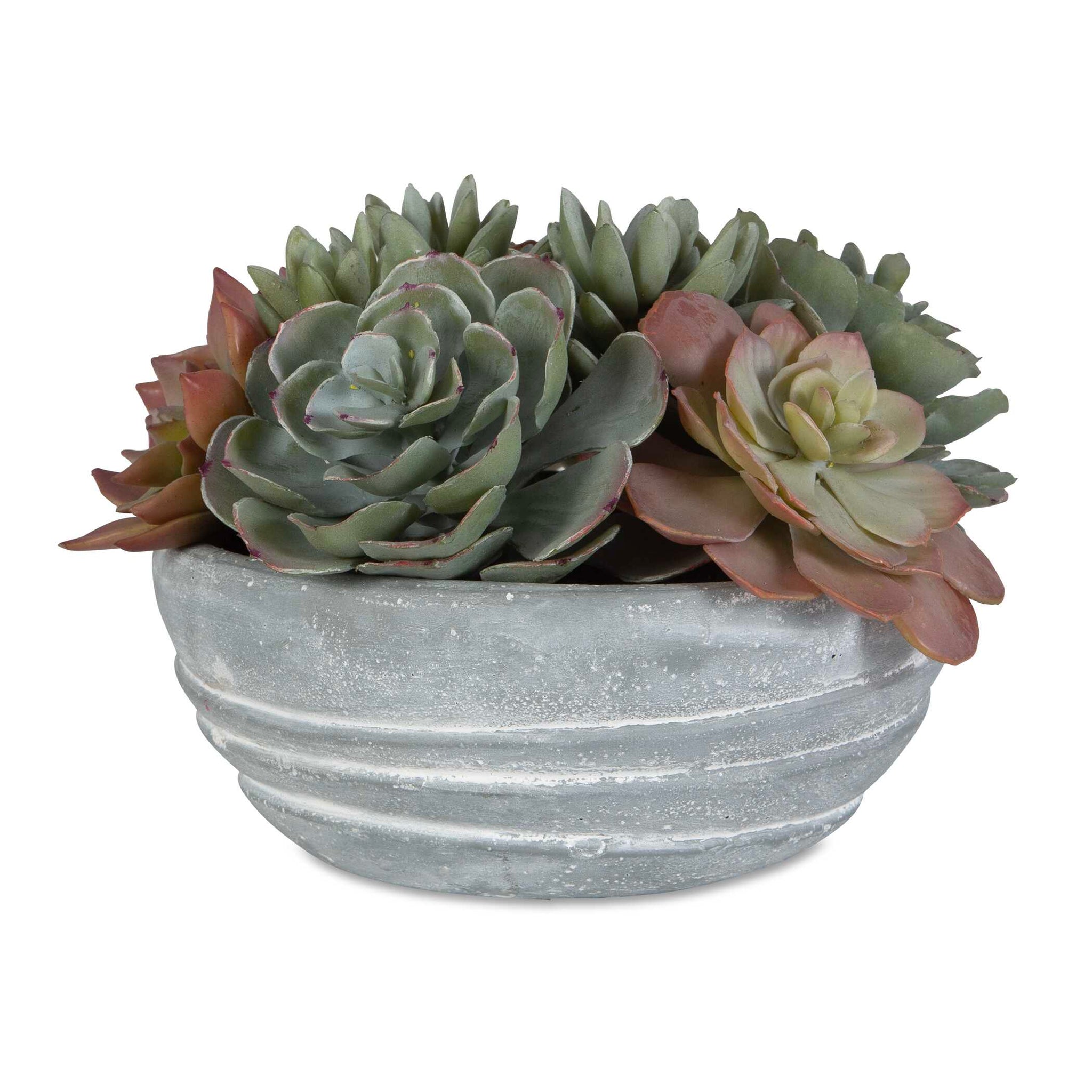 Uttermost Peoria Succulent Accent