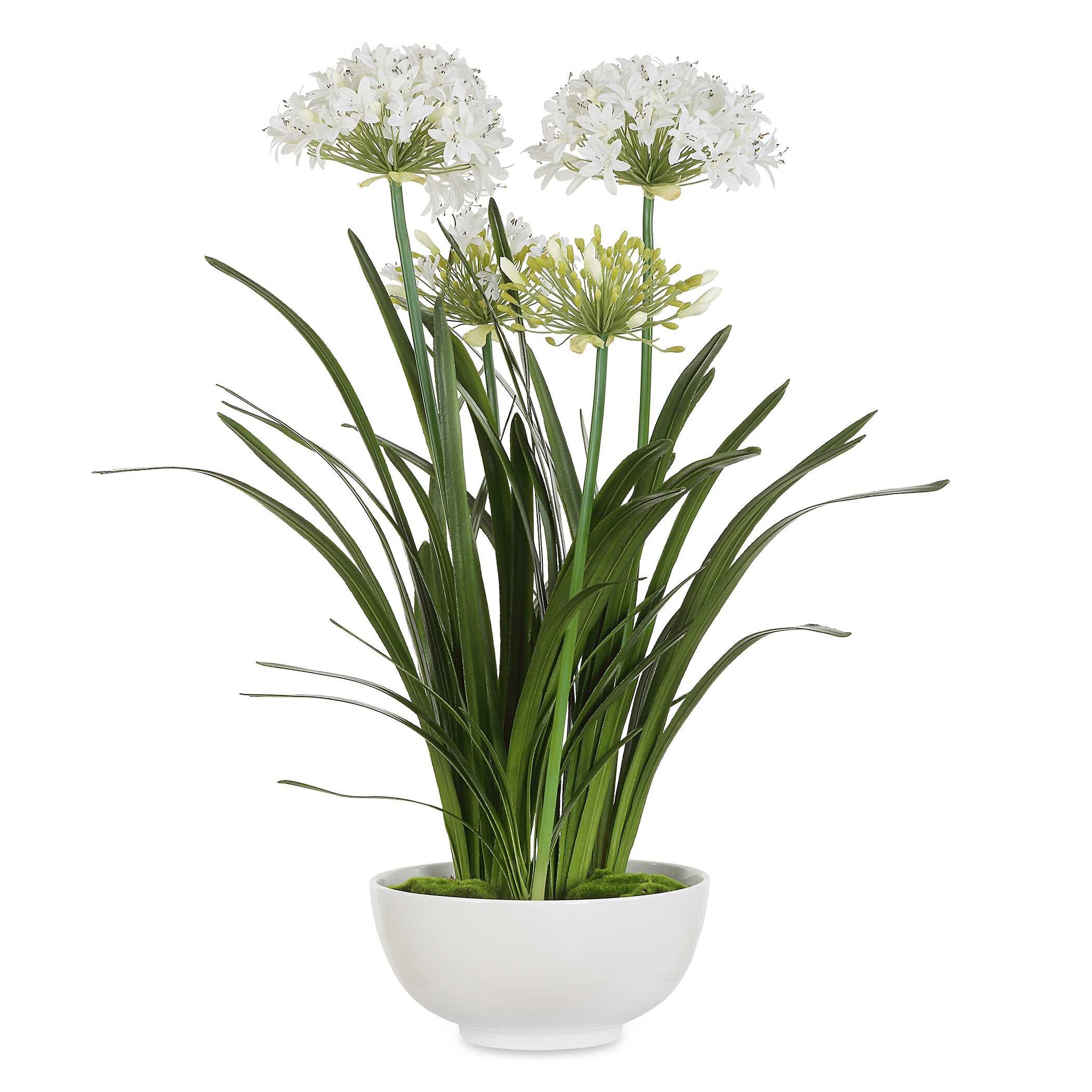 Uttermost Purity Agapanthus Centerpiece