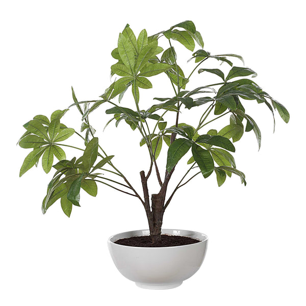 Uttermost Pachira Money Tree