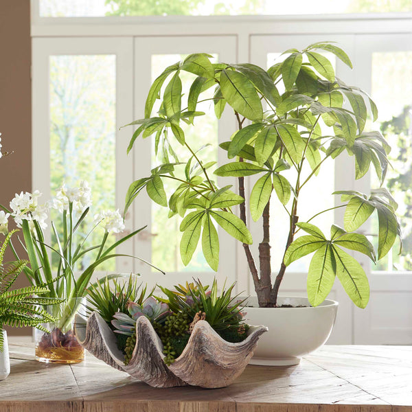 Uttermost Pachira Money Tree