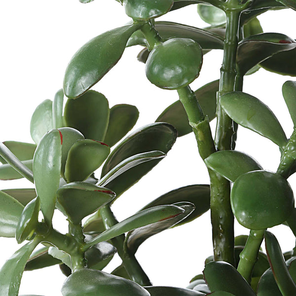 Uttermost Crassula Jade Accent Plant