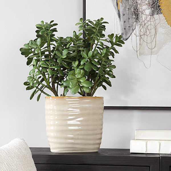 Uttermost Crassula Jade Accent Plant