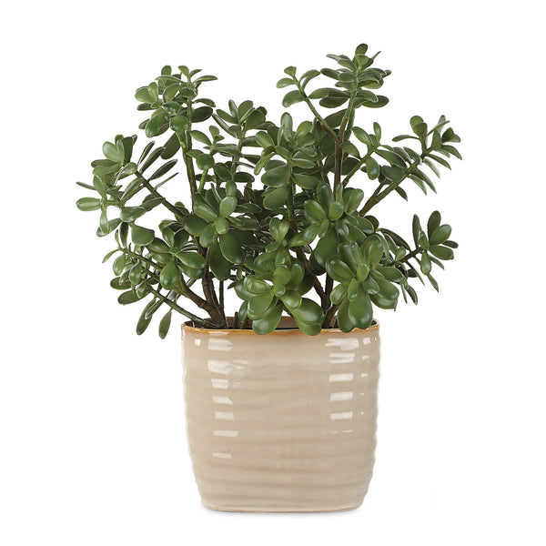 Uttermost Crassula Jade Accent Plant